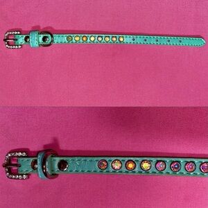 Pet Collar Teal Iridescent Rainbow Rhinestone Leather Green Blue Dog Cat Animal